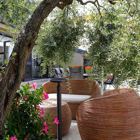 Olive Garden Paradise With Heated Swimming Pool Вилла Ровинь