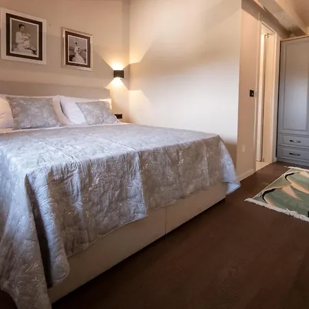 Olive Garden Paradise With Heated Swimming Pool Villa Rovinj