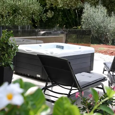 Olive Garden Paradise With Swimming Pool - New!!! * Rovigno