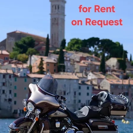 Olive Garden Paradise With Swimming Pool - New!!! *