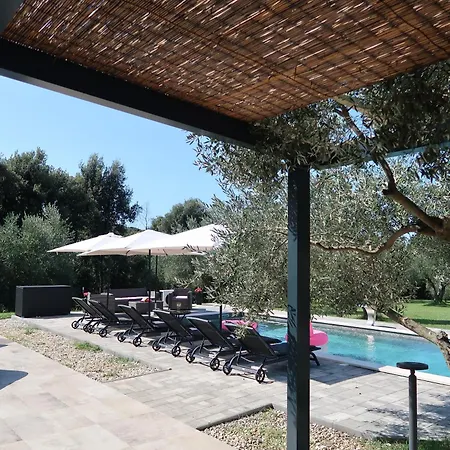 Olive Garden Paradise With Heated Swimming Pool Rovigno