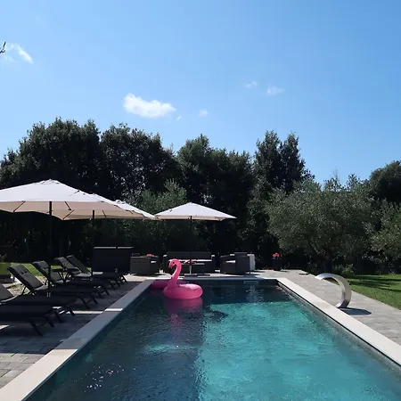 Olive Garden Paradise With Heated Swimming Pool Rovinj