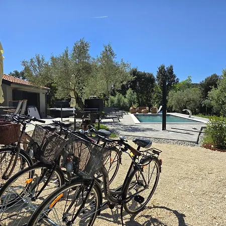 Olive Garden Paradise With Heated Swimming Pool Rovinj