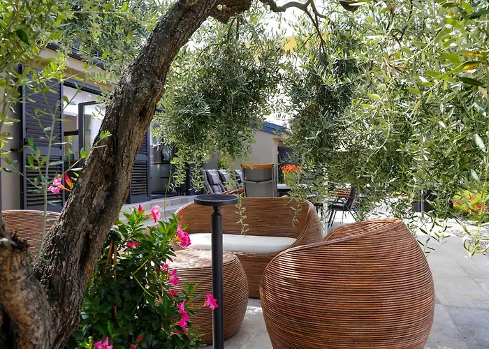 Olive Garden Paradise With Heated Swimming Pool Villa Rovinj