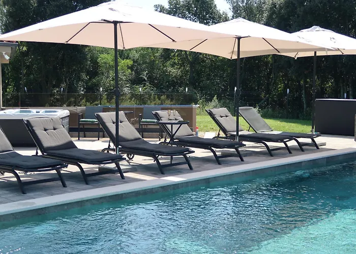 Olive Garden Paradise With Heated Swimming Pool Villa Rovinj